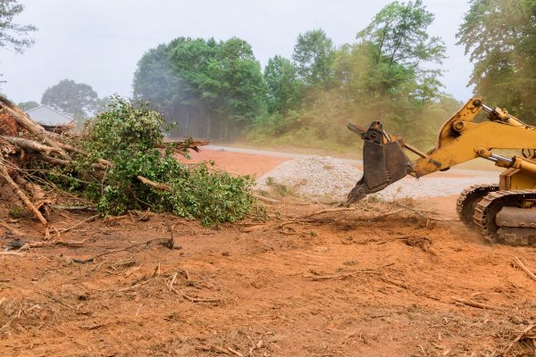Forestry Mulching Service in Syracuse