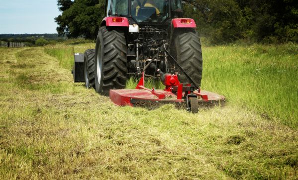 Brush Clearing Service in Syracuse