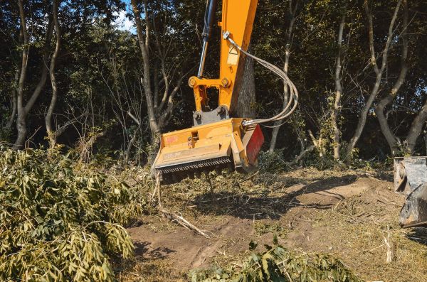 Brush Removal Service in Syracuse