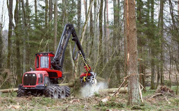 Forest Clearance Service in Syracuse
