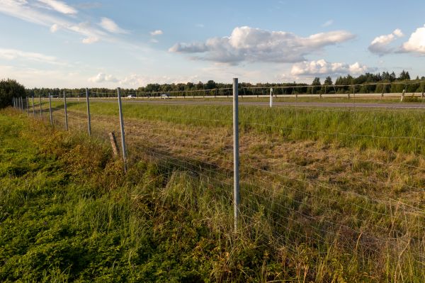 Property Line Clearing in Syracuse