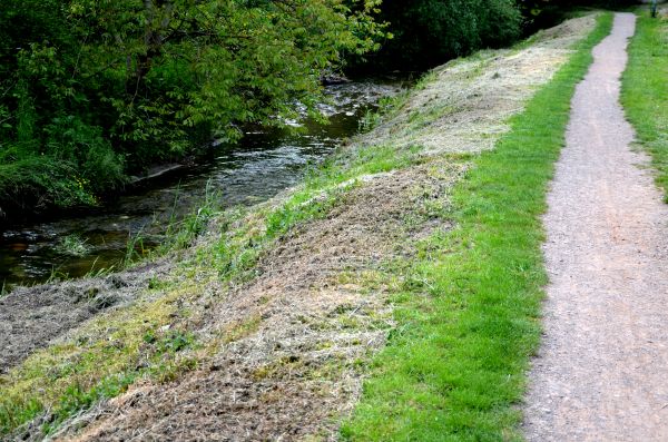 Trail Cutting in Syracuse