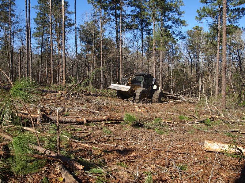 Machinery Used in Land Clearing