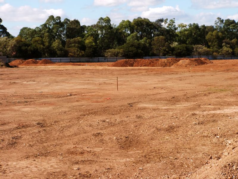 Environmental Land Clearing Experts